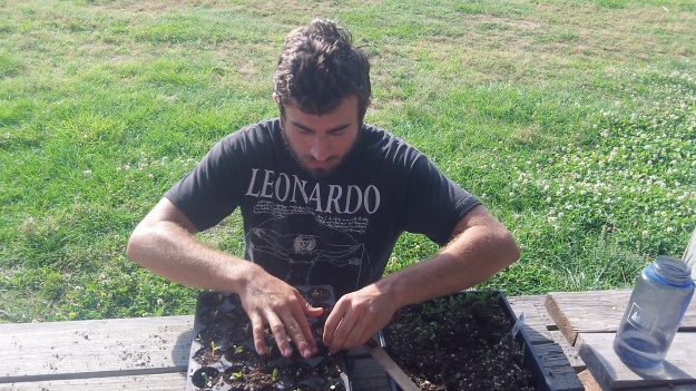 Apprentice Jordan Tony transplants seedlings from open flats
