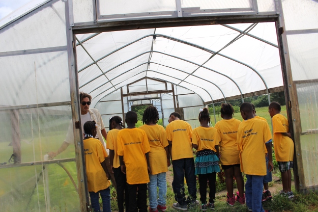 Kiddos learn the importance of proper irrigation in one of our high tunnels.