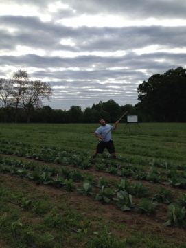 Our resident jester, Justin, playing air guitar while hoeing nutsedge. 